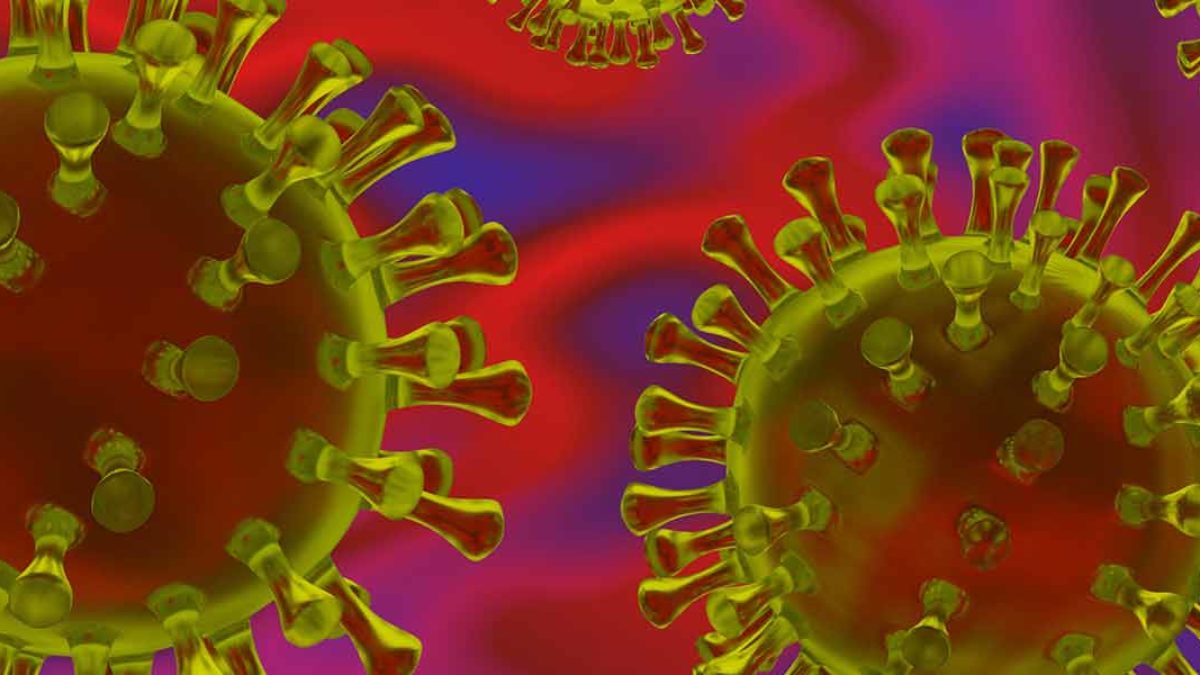 Symptoms Treatment For Rashes Nj S Infectious Disease Specialists