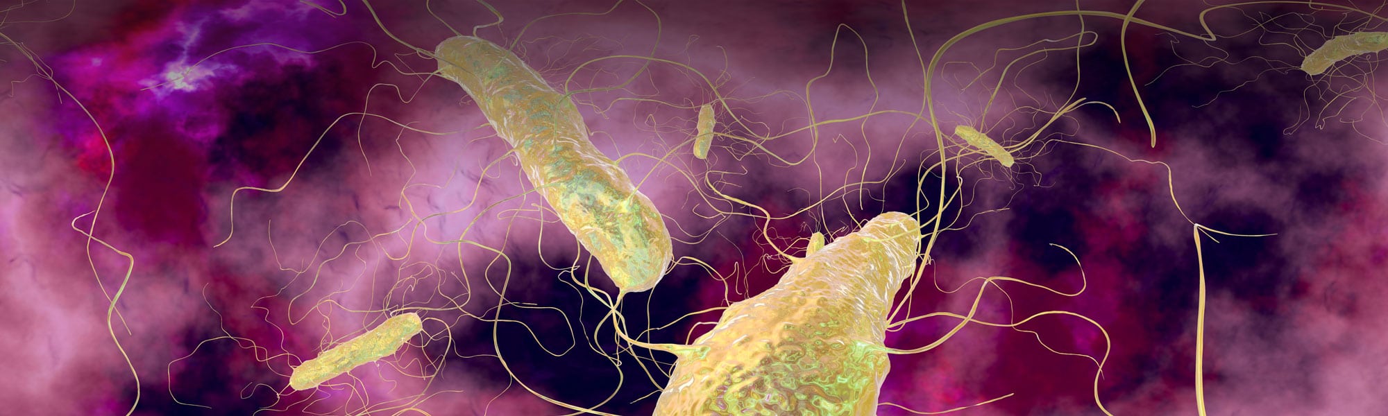 Sources of C. Diff and How to Protect Your Family | ID Care