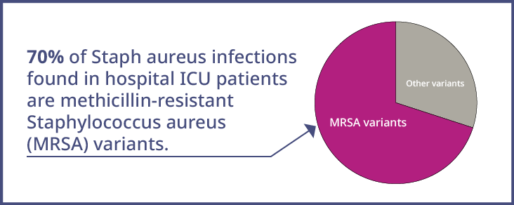 70% of Staph aureus infections found in hospitals ICU patients are methicillin-resistant Staphylococcus aureus (MRSA) variants.