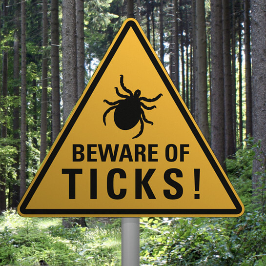 Beware of Ticks sign