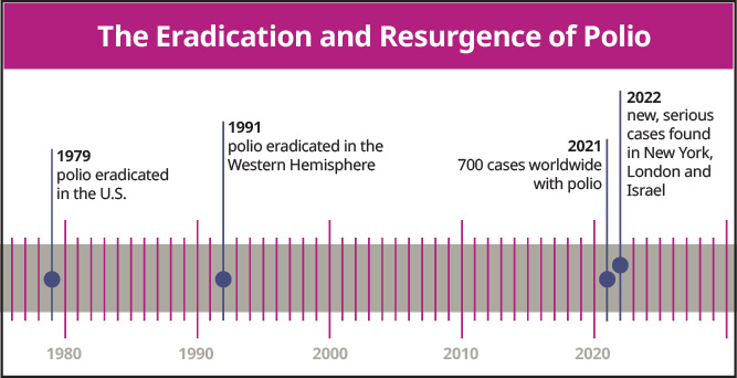 The Eradication and Resurgence of Polio