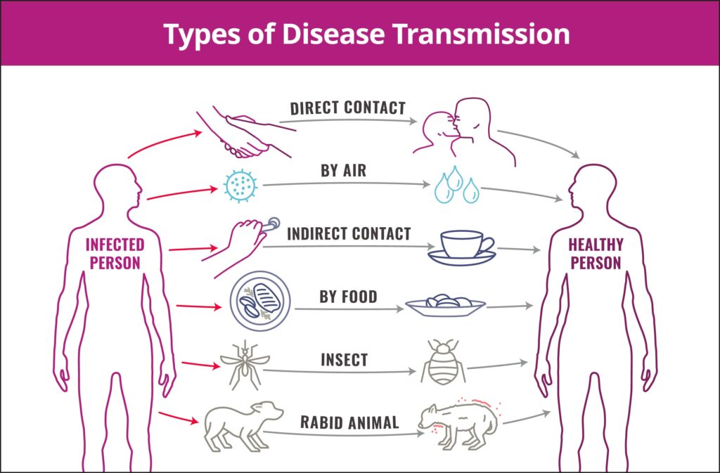 Types of Disease Transmission